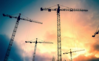 Crane School Exists & it’s Definitely Worth Your Time